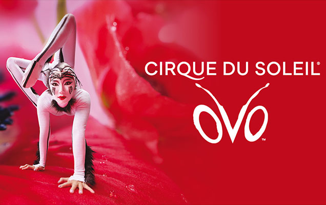 Cirque du Soleil OVO